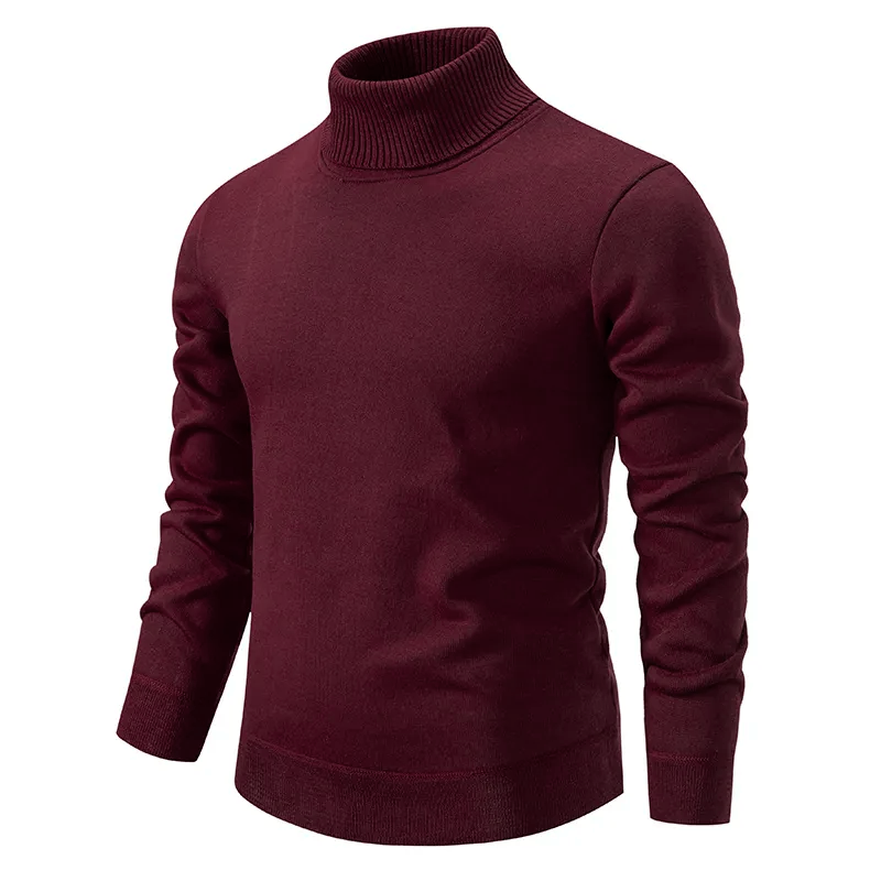 Edu | Silky Rollkragenpullover aus 100% Wolle